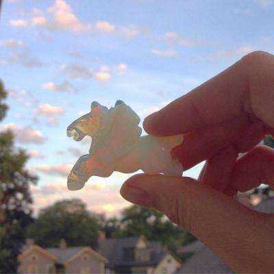 小罗代言米乐体育appapp下载