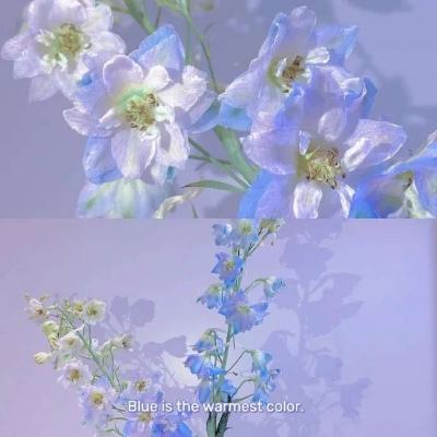 云开·棋牌官方网站